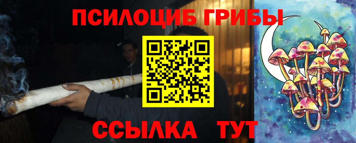 Псилоцибиновые грибы Psilocybe Урус-Мартан
