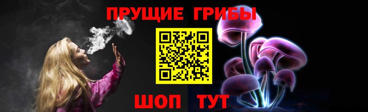 Псилоцибиновые грибы прущие грибы  Вход с VPN  Урус-Мартан 